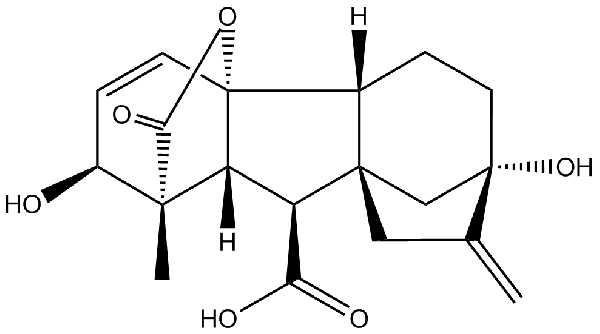 赤霉素GIBBERELLIC ACID，居然有這么神奇？